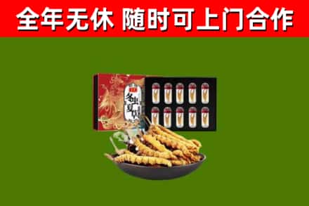 双台子烟酒回收冬虫夏草礼盒.jpg